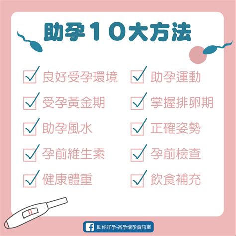 如何懷孕|做愛完增加1步驟，更容易懷孕！醫師傳授6招提升受孕率的小撇步…